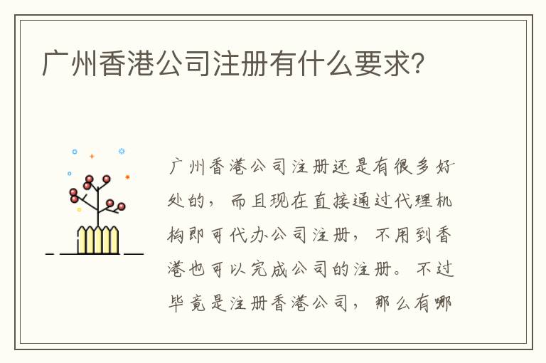 廣州香港公司注冊(cè)有什么要求？