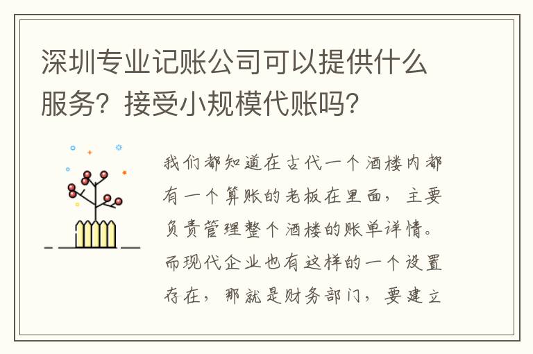 深圳專(zhuān)業(yè)記賬公司可以提供什么服務(wù)？接受小規(guī)模代賬嗎？