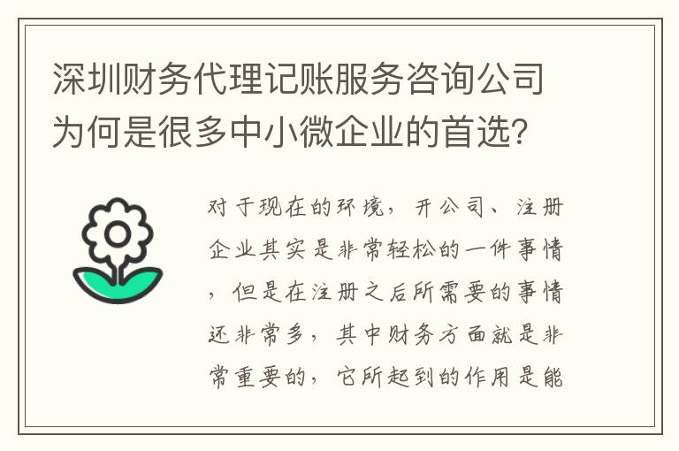 深圳財(cái)務(wù)代理記賬服務(wù)咨詢公司為何是很多中小微企業(yè)的首選？
